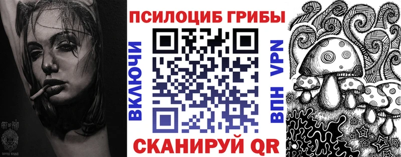 ссылка на мегу вход  Ардатов  Псилоцибиновые грибы прущие грибы 