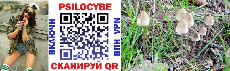 Галлюциногенные грибы Cubensis Ардатов